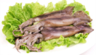 “Illex Squid”